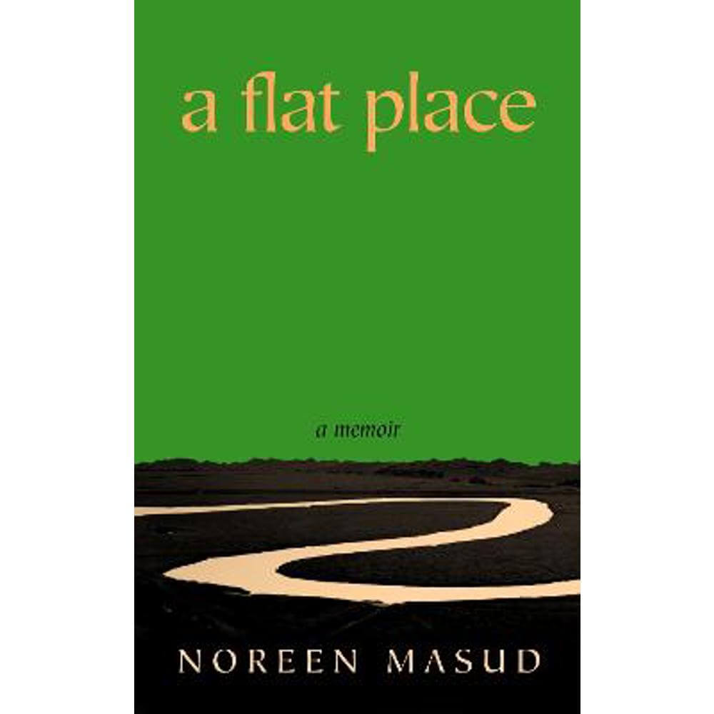 A Flat Place (Hardback) - Noreen Masud
